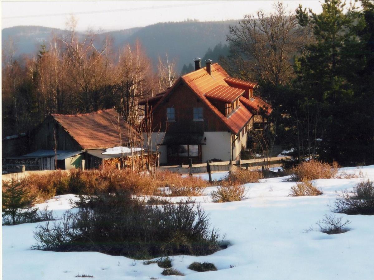 Landhaus Graf Kniebis Εξωτερικό φωτογραφία