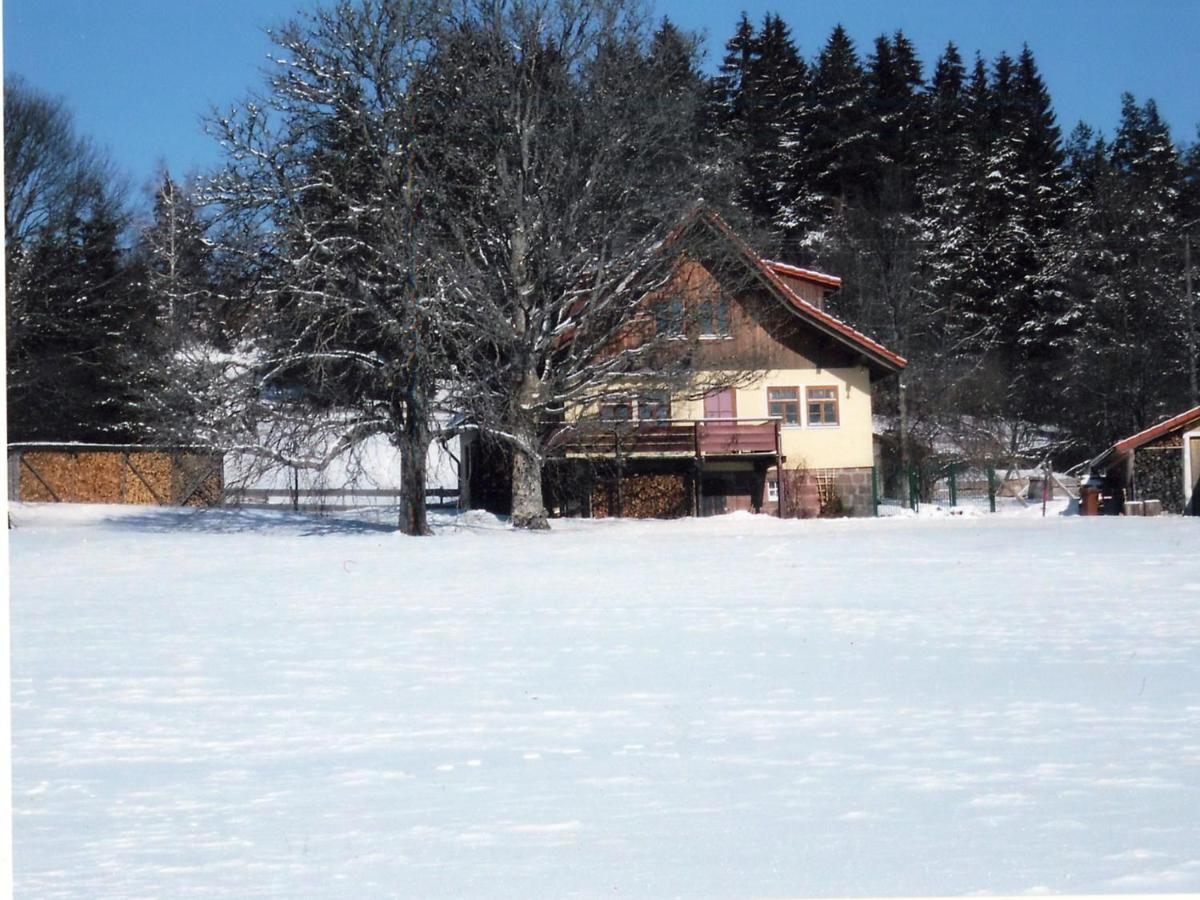 Landhaus Graf Kniebis Εξωτερικό φωτογραφία